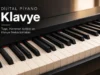 Dijital Piyano Alırken Hangi Kullanıcı İçin Nasıl Bir Klavye?